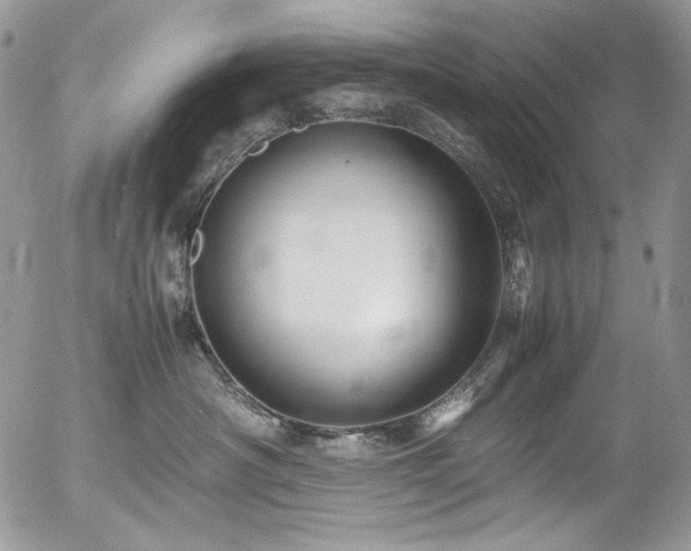 X0000054370430200507291051