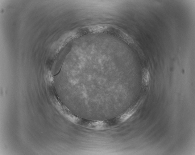 X0000054370431200507291051