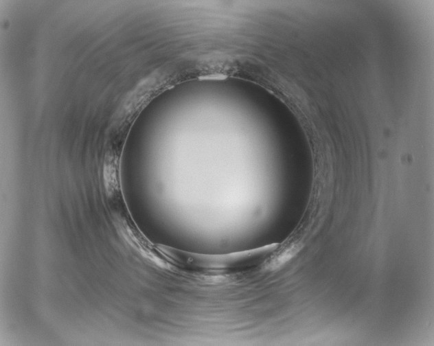 X0000054370432200507291051