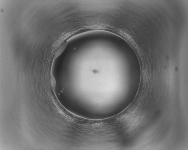 X0000054370433200507291051