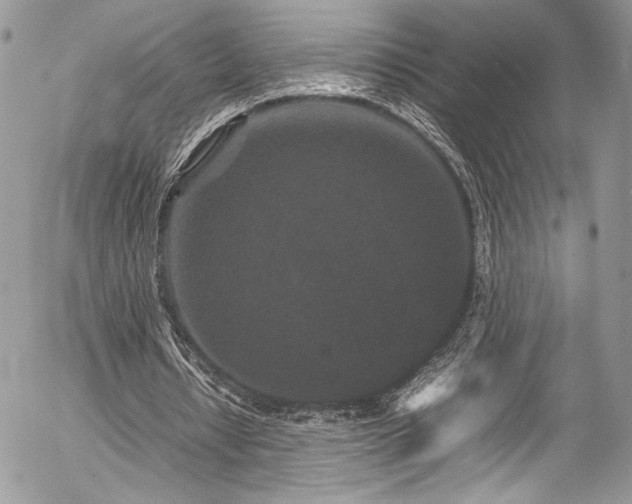 X0000054370434200507291051