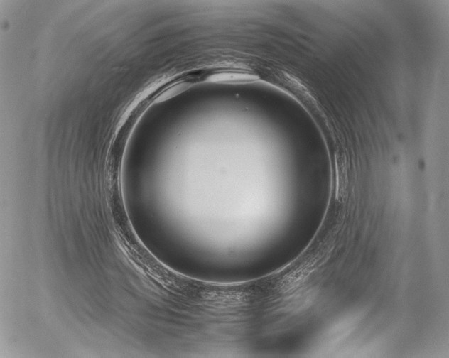 X0000054370435200507291051