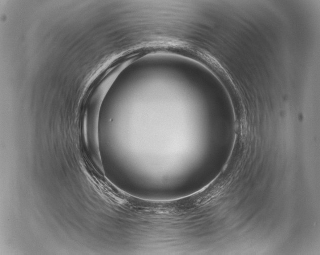 X0000054370436200507291051