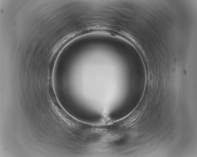 X0000054370437200507291051