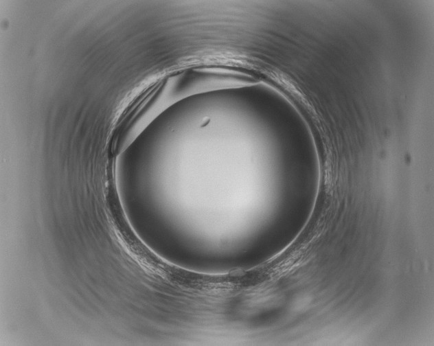 X0000054370438200507291051