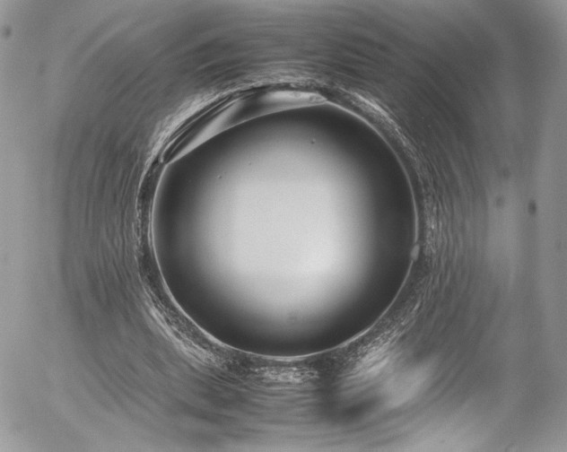 X0000054370439200507291051