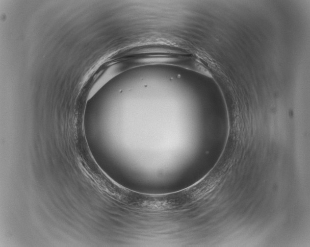 X0000054370440200507291051