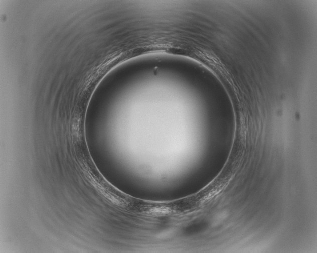 X0000054370441200507291051