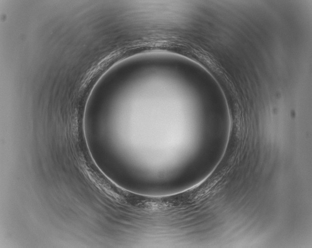 X0000054370442200507291051