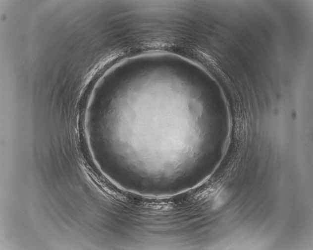 X0000054370443200507291051