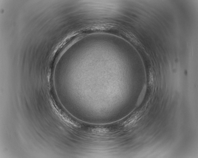 X0000054370444200507291051