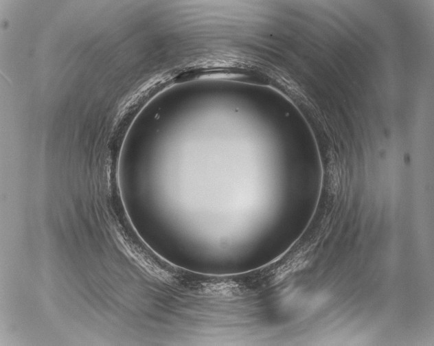 X0000054370446200507291051