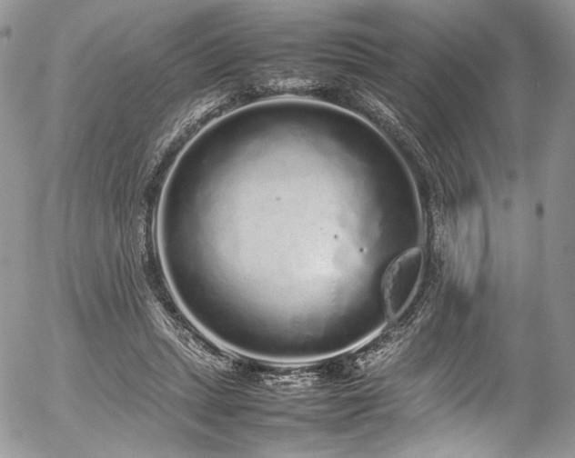 X0000054370447200507291051