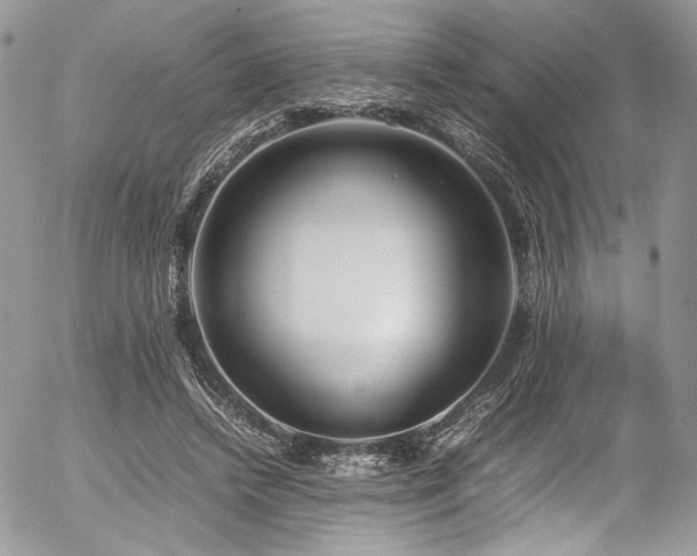 X0000054370448200507291051