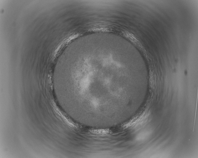 X0000054370449200507291051