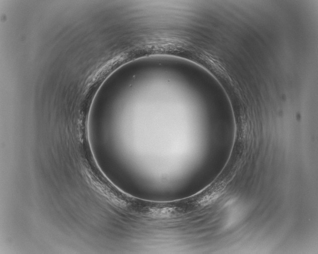 X0000054370450200507291051