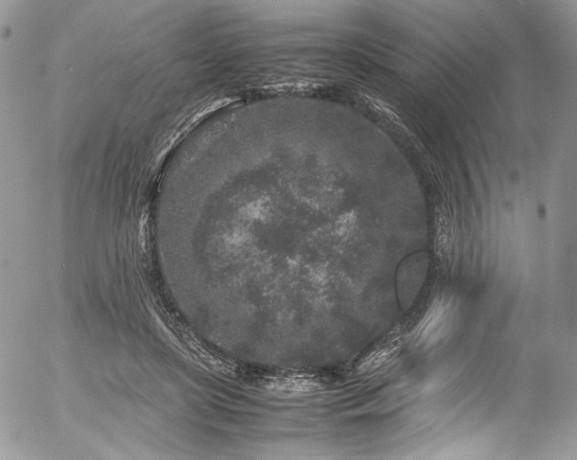 X0000054370451200507291051