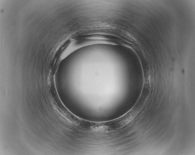 X0000054370452200507291051