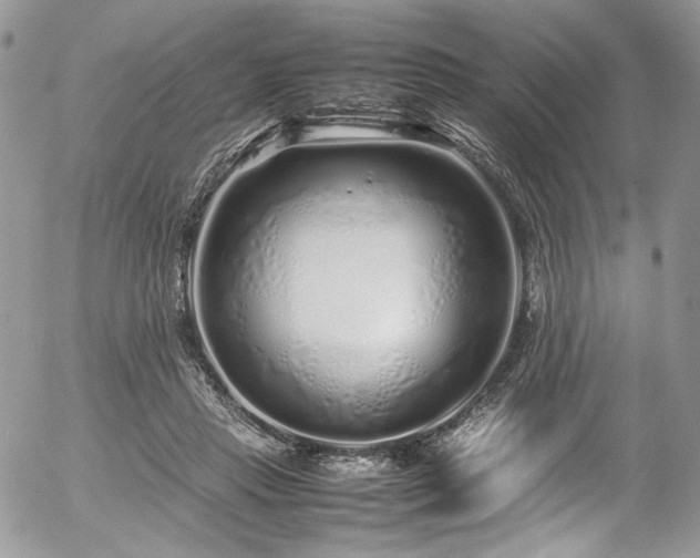 X0000054370453200507291051