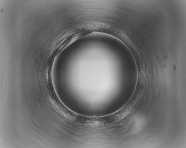 X0000054370454200507291051