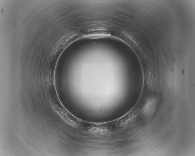 X0000054370455200507291051