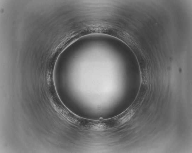 X0000054370456200507291051