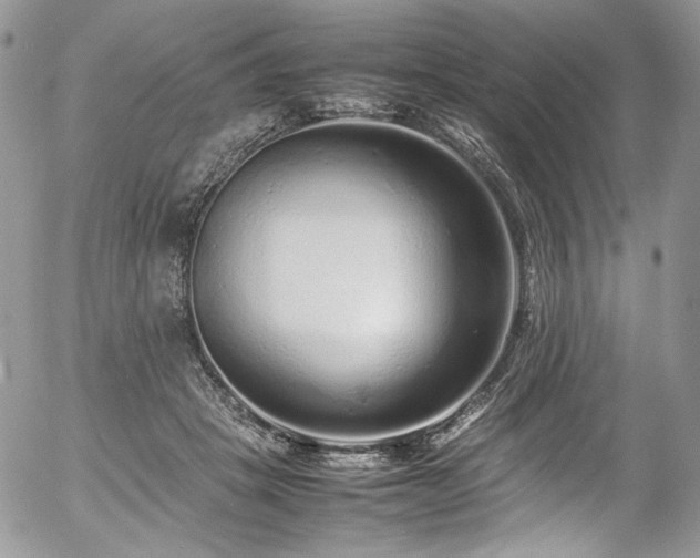 X0000054370457200507291051