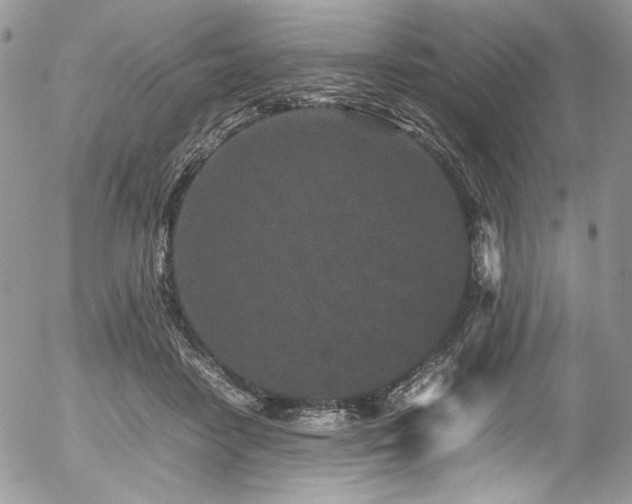 X0000054370458200507291051