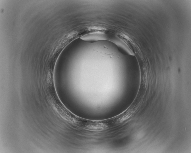 X0000054370459200507291051