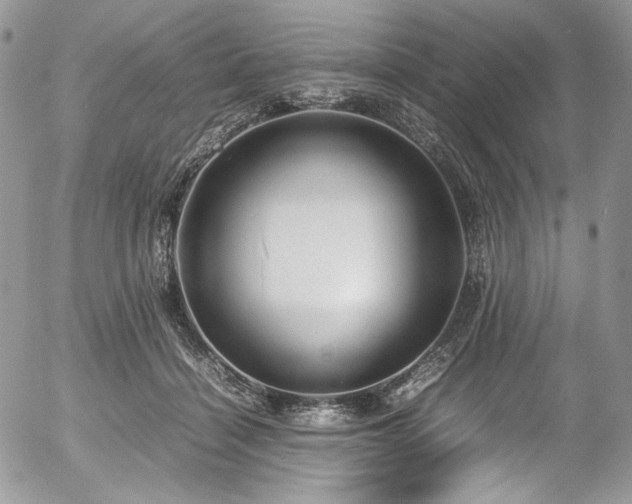 X0000054370460200507291051