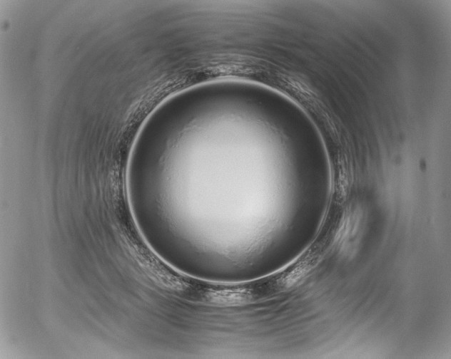 X0000054370461200507291051