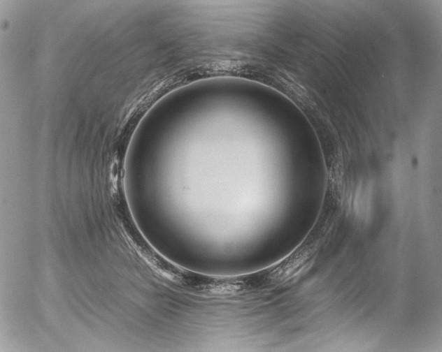 X0000054370462200507291051