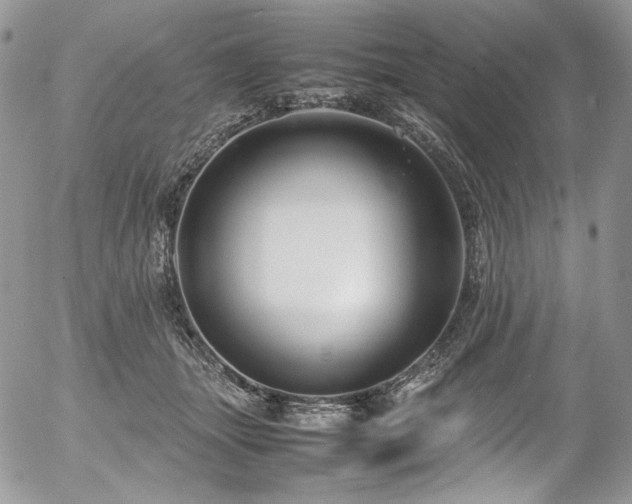 X0000054370463200507291051