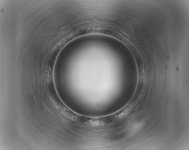 X0000054370464200507291051