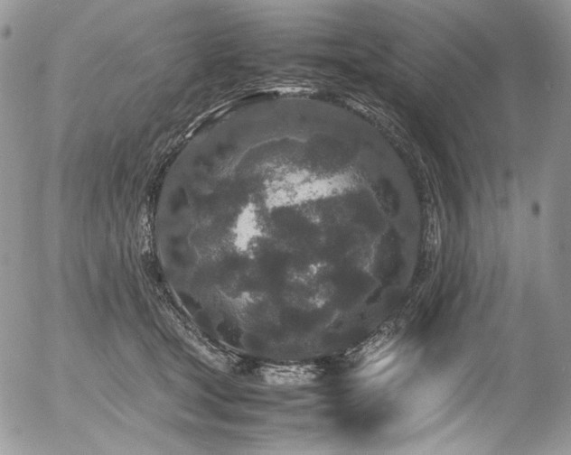 X0000054370465200507291051