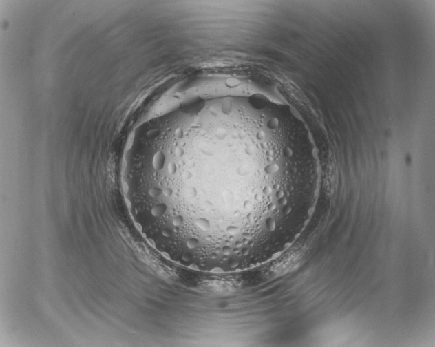 X0000054370466200507291051