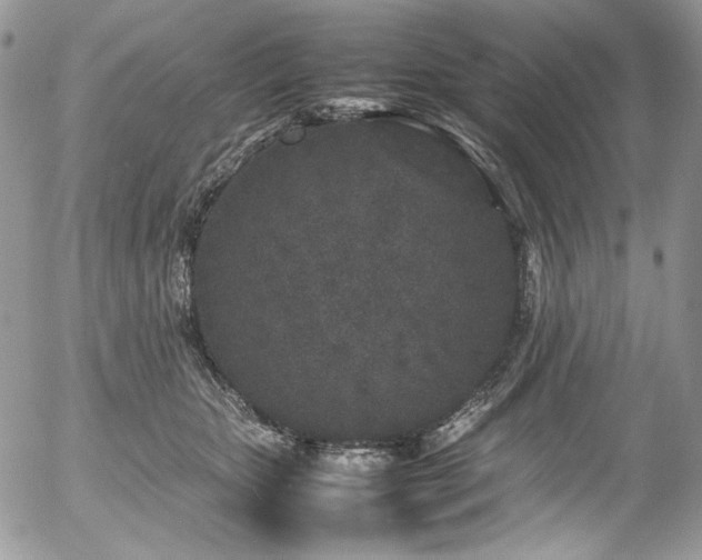 X0000054370467200507291051