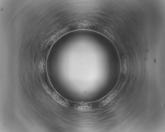 X0000054370468200507291051