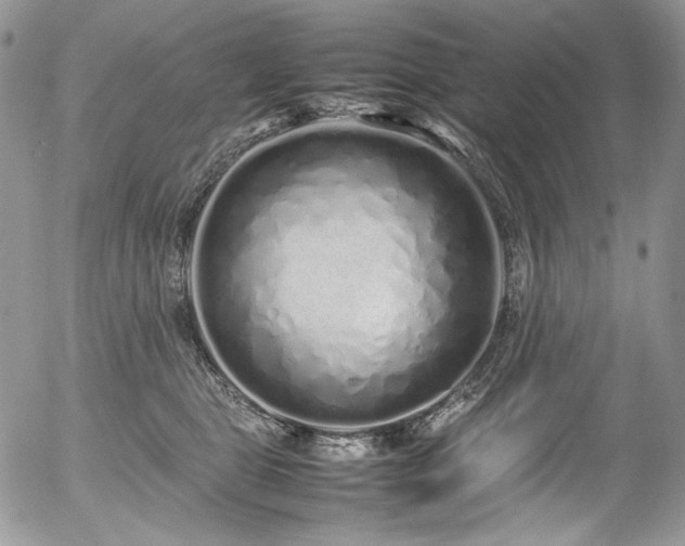 X0000054370469200507291051