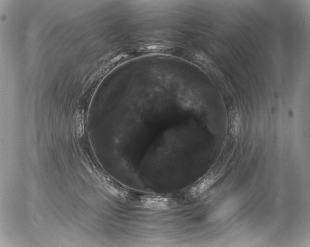 X0000054370471200507291051