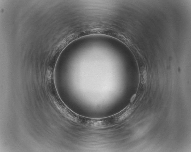 X0000054370472200507291051