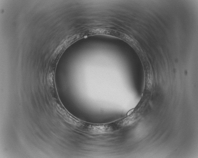 X0000054370473200507291051