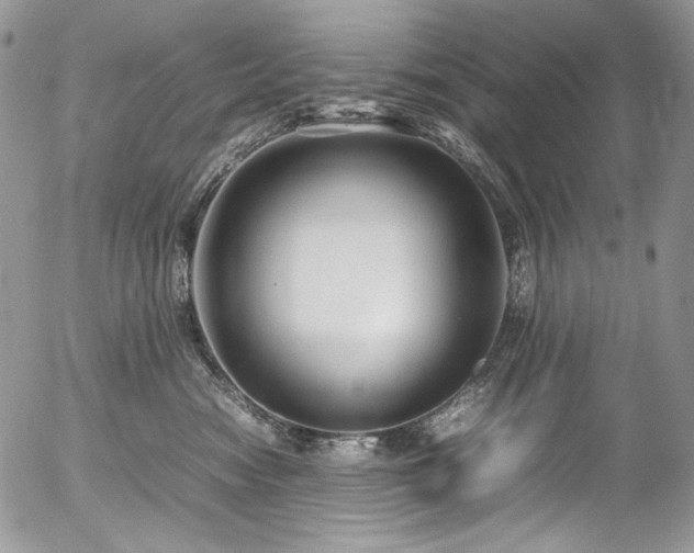 X0000054370474200507291051