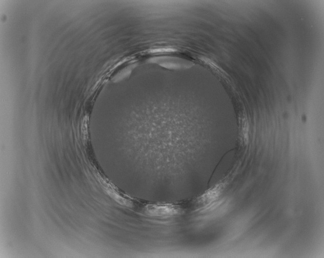 X0000054370475200507291051