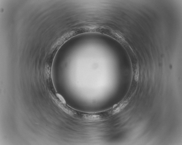 X0000054370476200507291051