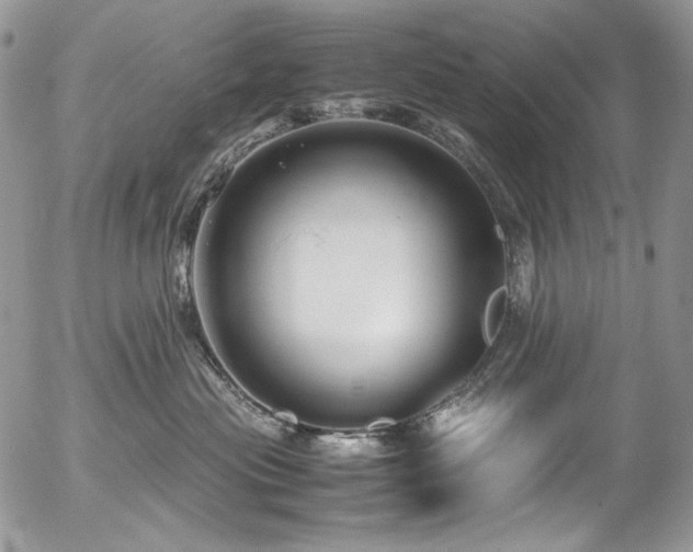 X0000054370477200507291051