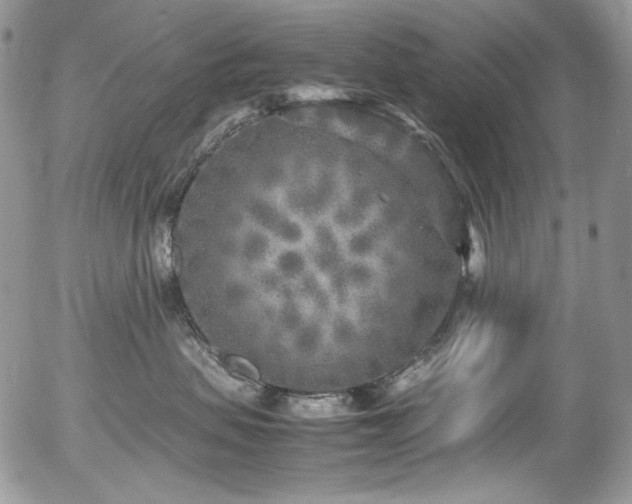 X0000054370479200507291051