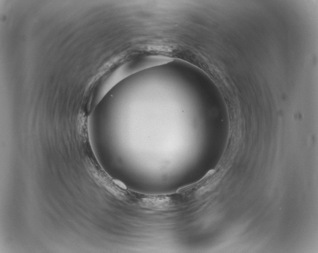 X0000054370480200507291051