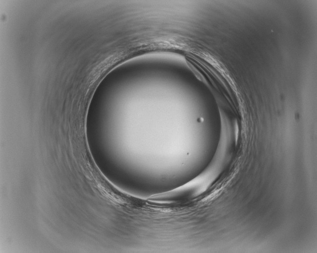 X0000054370481200507291051