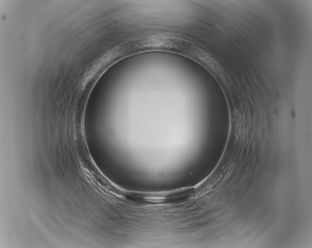 X0000054370482200507291050